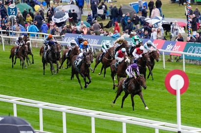 york racecourse