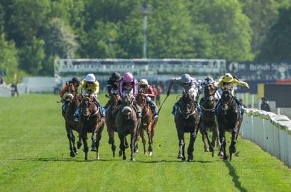 york racecourse clipper