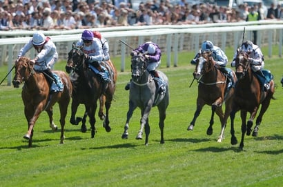 york racecourse may