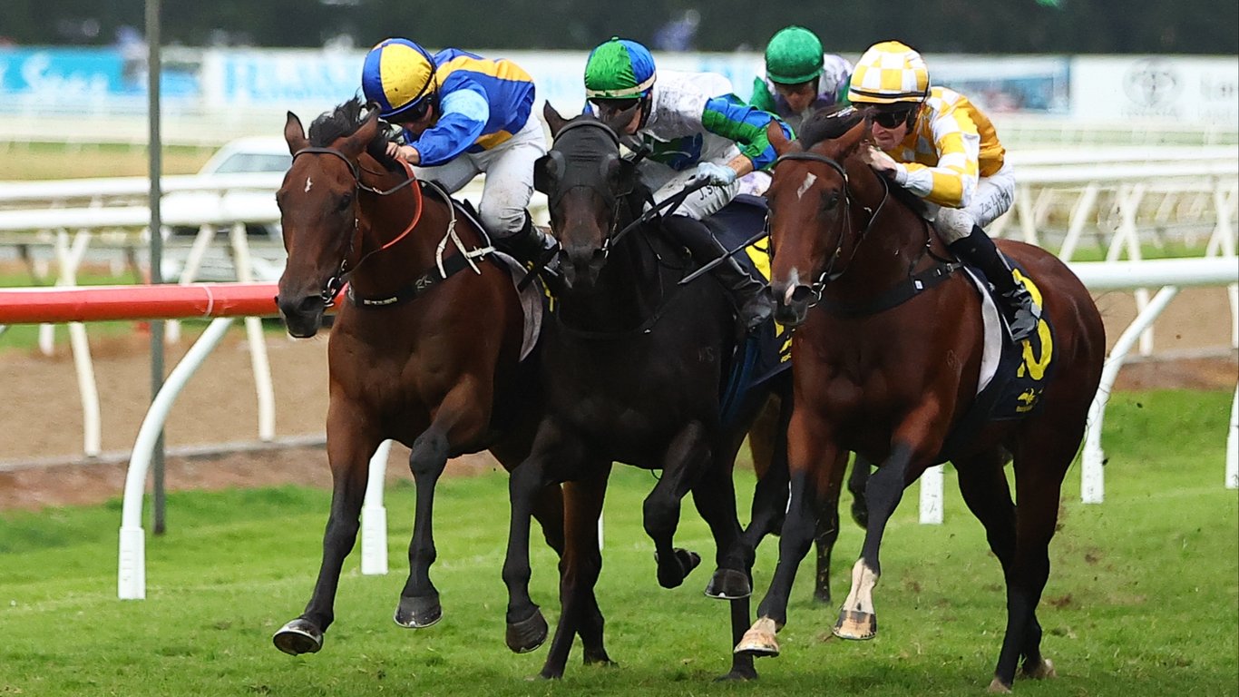 Kilcoy Racing Tips for January 2 - Je Reve is drawn to win again