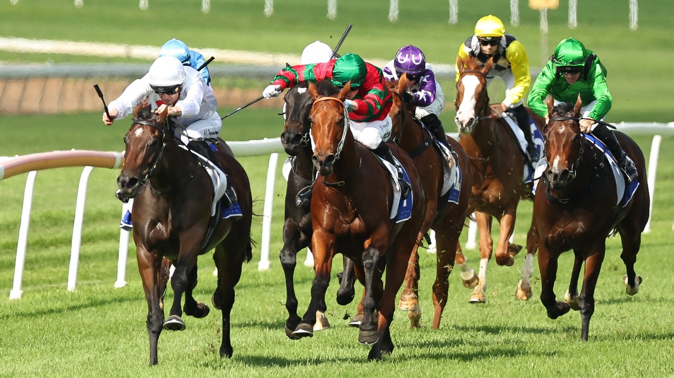 Wellington Racing Tips for April 12 - Jasper's Way can win, down in grade
