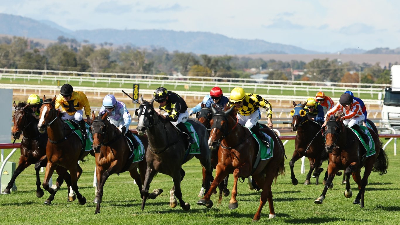 Grafton Racing Tips for July 12 - Mr Chaplin can take home the Cup, 3rd-up