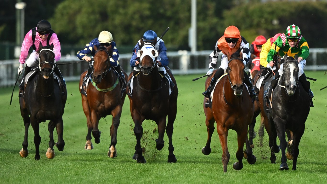 Belmont Racing Tips for May 23 - Xentaro can make it 3-straight
