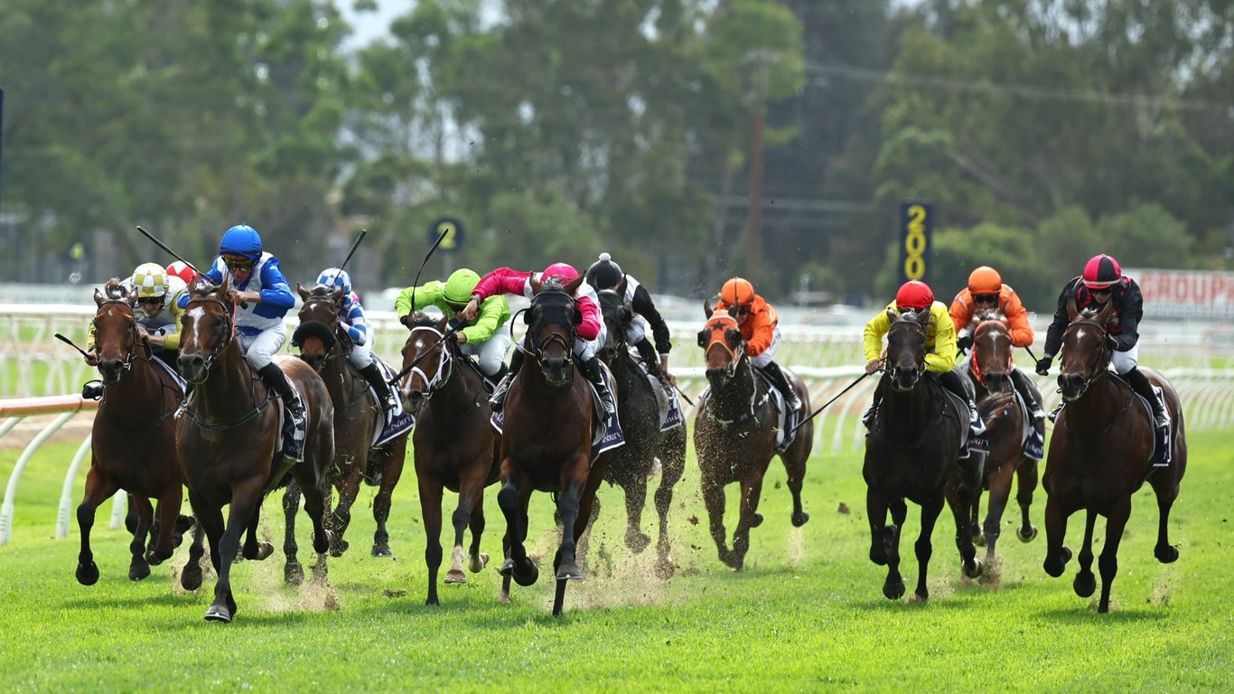 Wellington Racing Tips for May 26 - Gail Jeanette can claim victory, 3rd-up