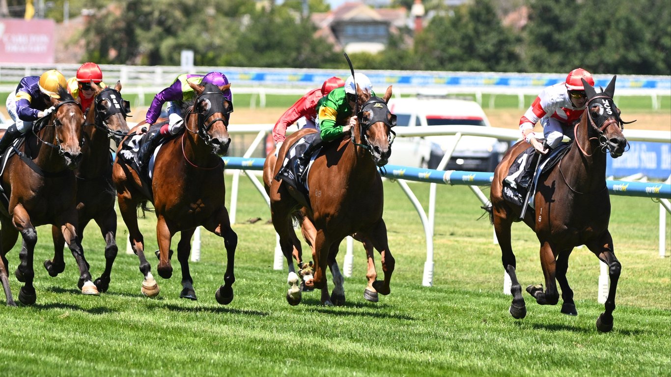 Ascot Racing Tips for February 7 - Kimberley Rose can go one better here