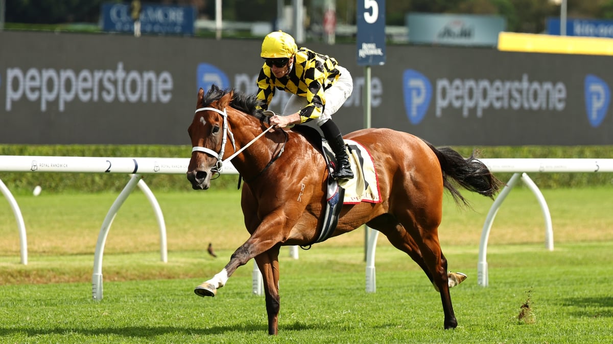 Big Bets Results from February 14