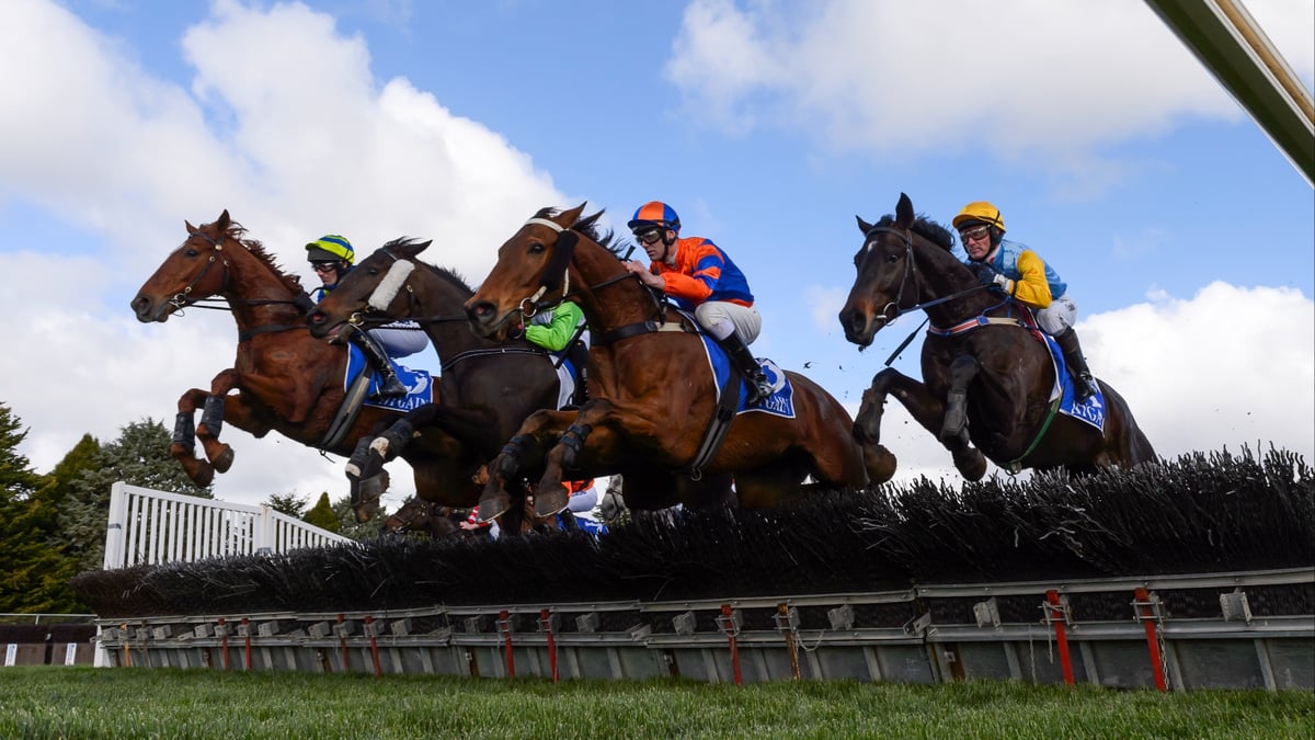 Ballarat Betting Tips for August 16, 2026 - Ardakan Ready for the Long Haul