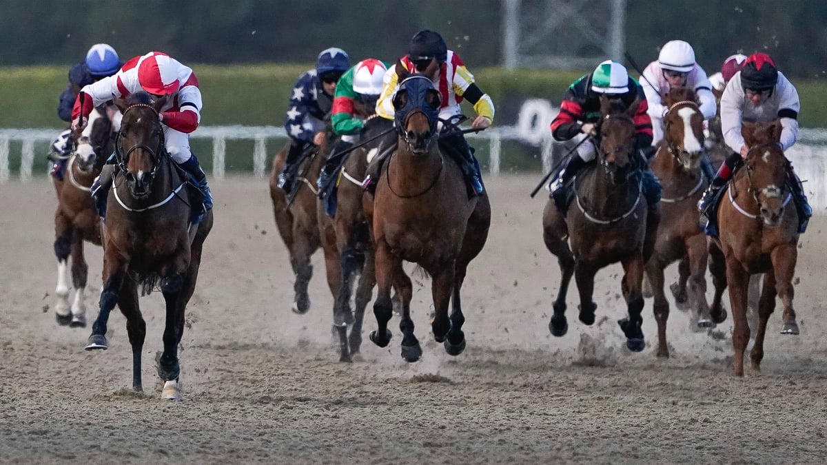 Ballarat Betting Tips for June 24, 2026 - Local King to Reign