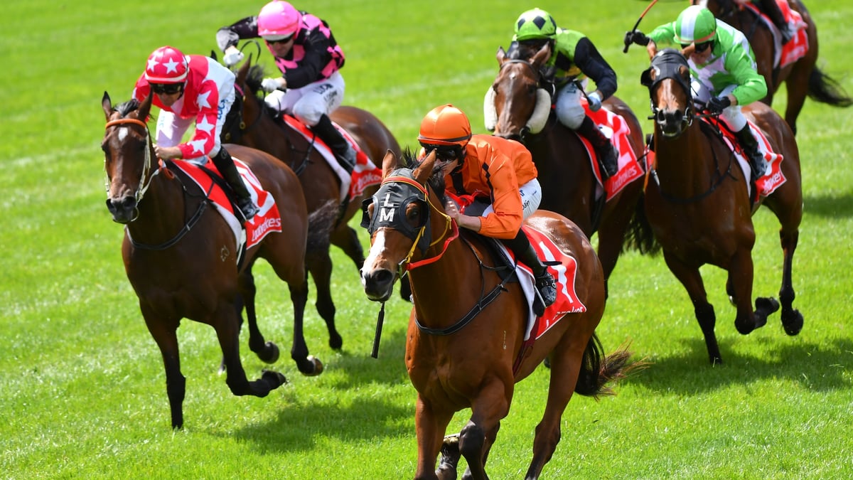 Belmont Betting Tips for September 2, 2026 - So Si God Finds the Faith