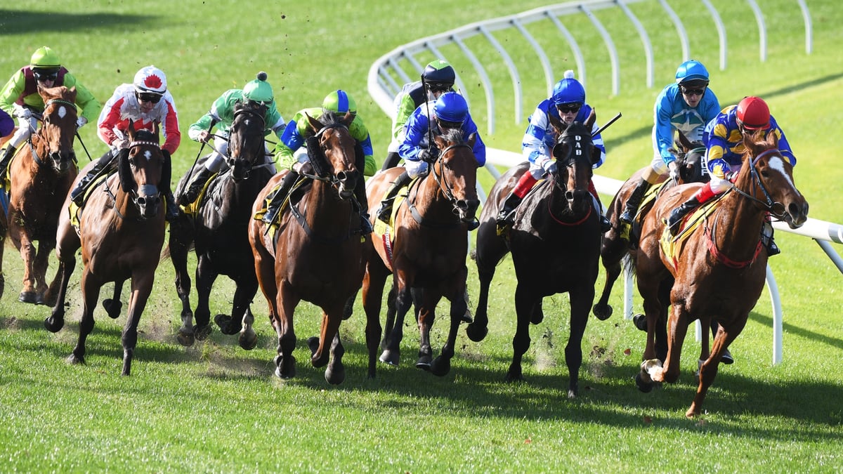 Belmont Betting Tips for August 8, 2026 - A Magical Finish in the West