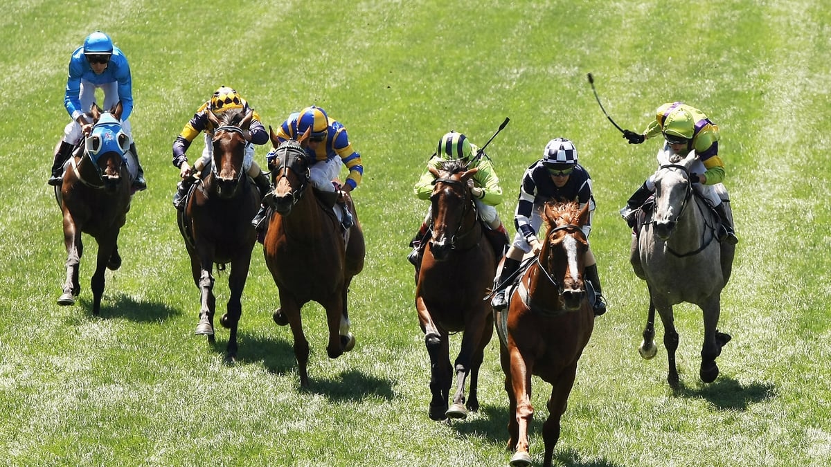 Belmont Betting Tips for September 12, 2026 - Bosun Takes the Helm