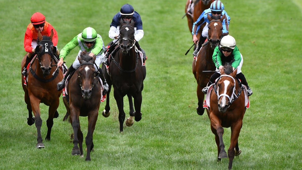 Belmont Betting Tips for June 20, 2026 - All Hail the Prince