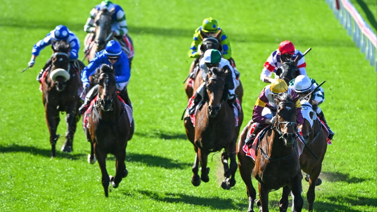 Belmont Betting Tips for May 30, 2026 - Hot Sea Fancied in the Opener