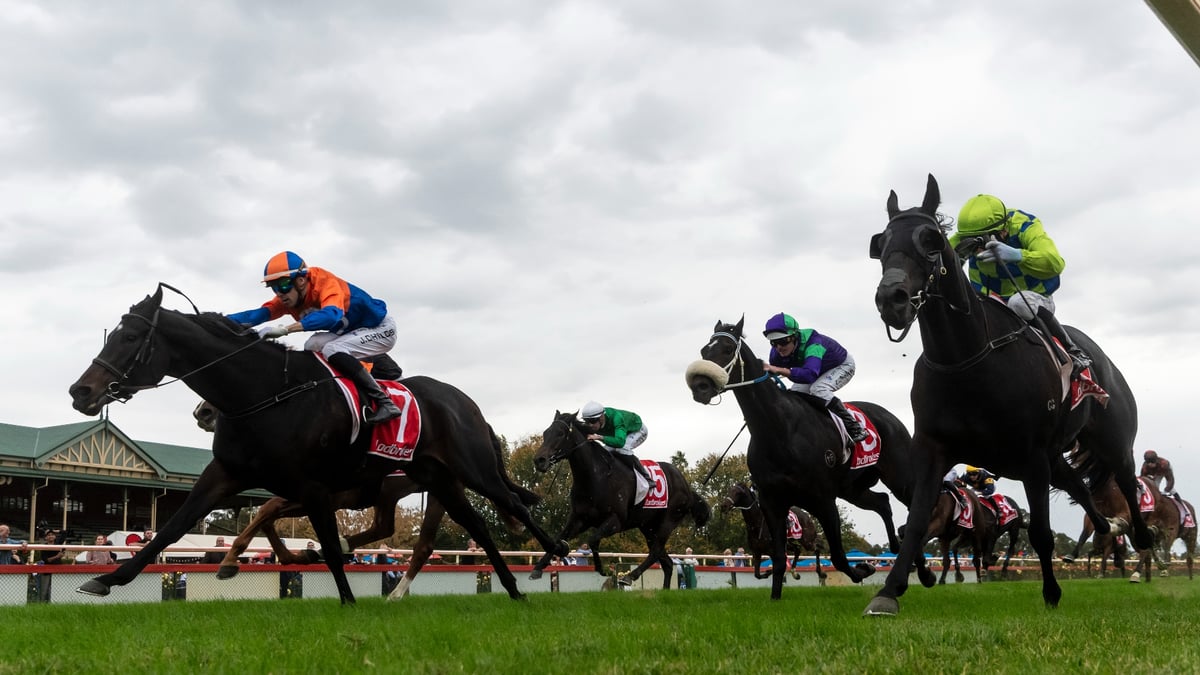 Bendigo Betting Tips for June 25, 2026 - Value with Komito