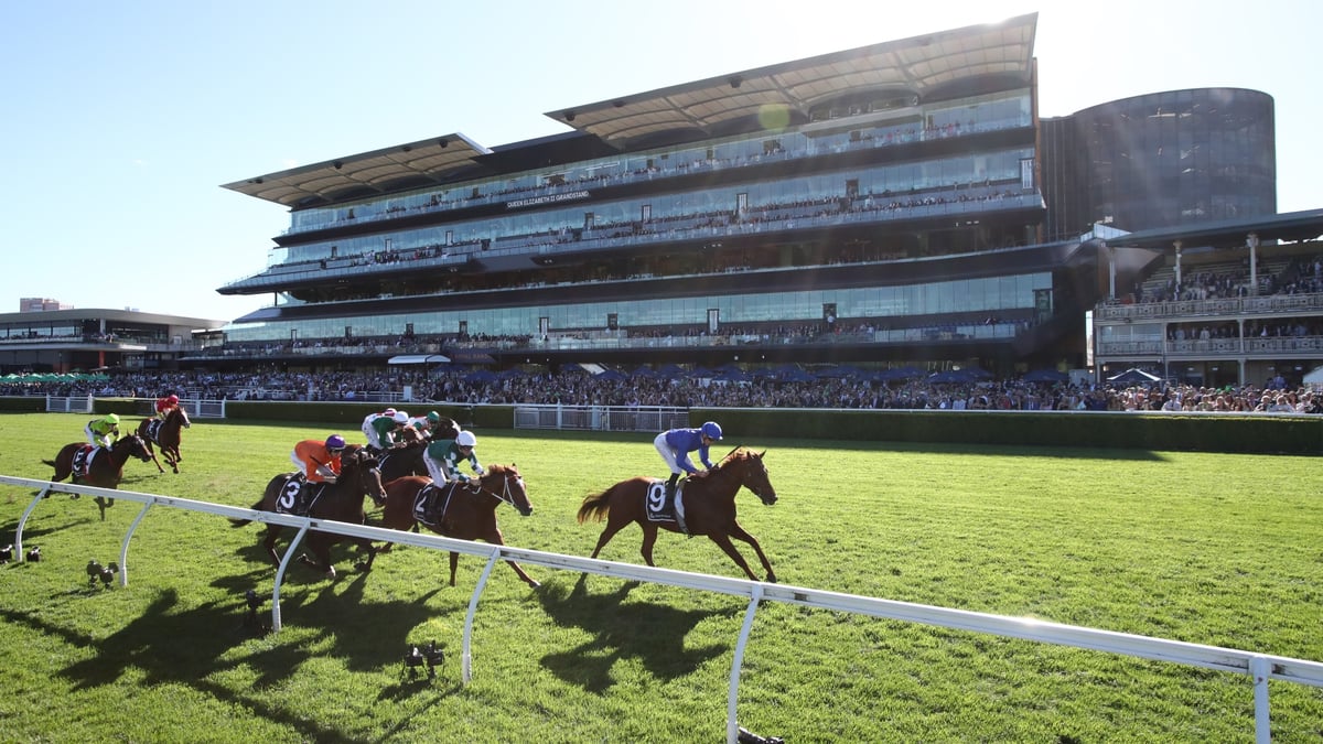 Pointsbet horse racing betting results interface