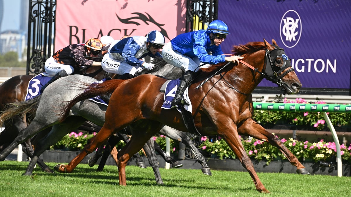 Pointsbet horse racing betting interface showing odds and markets