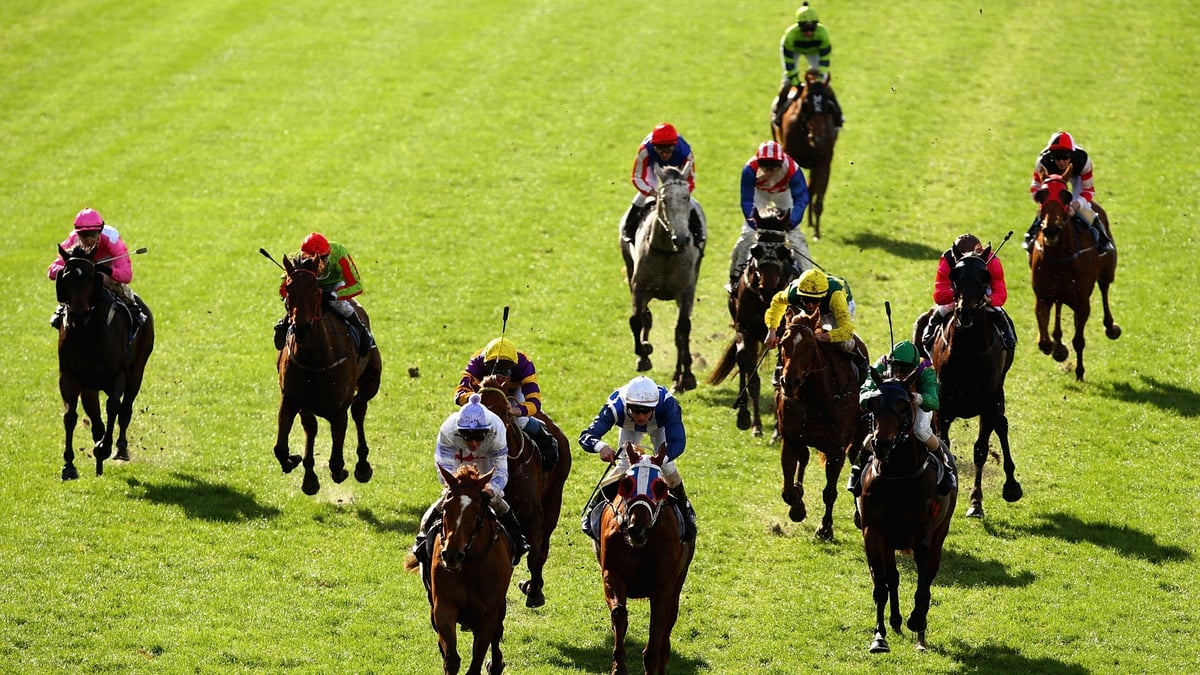 Bunbury Betting Tips for September 10, 2026 - Pistone Primed for a Big Debut