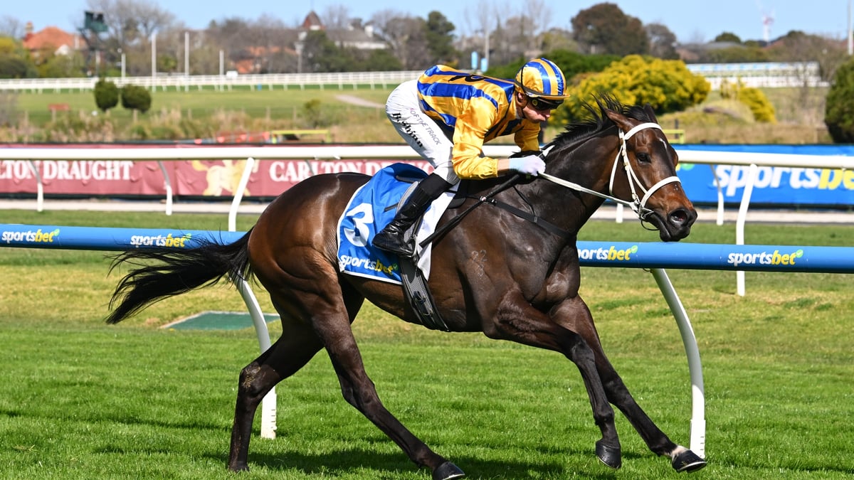 Caulfield Guineas 2026 - Barrier Draw & Final Field