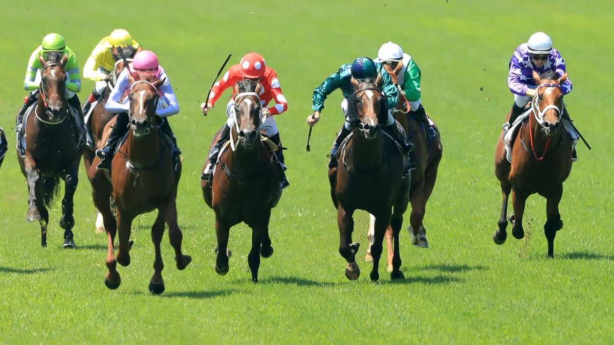 Coffs Harbour Betting Tips for September 3, 2026 - Pearl Pendant Ready to Sparkle