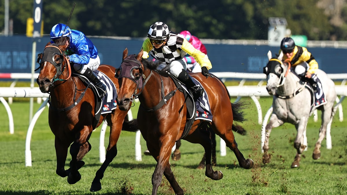 Coffs Harbour Betting Tips for August 7, 2026 - Zucchero Looks Sweet Value