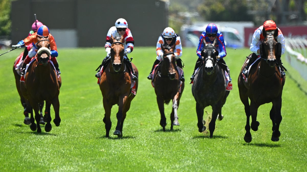 Cranbourne Betting Tips for July 16, 2026 - Miss on a Mission