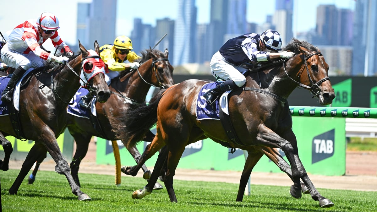 Get $2.75 for Our Chief to Win or Run Top 2 in Race 5 at Caulfield