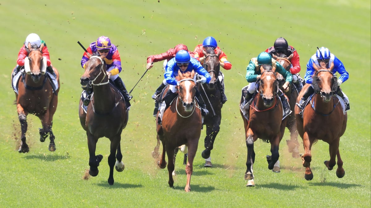 Eagle Farm Betting Tips for August 12, 2026 - Metric Can Measure Up