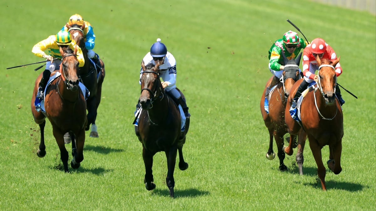 Eagle Farm Betting Tips for August 8, 2026 - Anemacore to Settle the Score