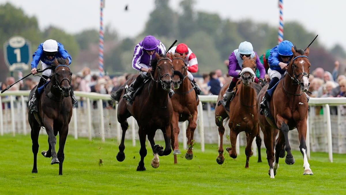 Ebor Festival 2026 Tips - Day 1 Race-by-Race Preview