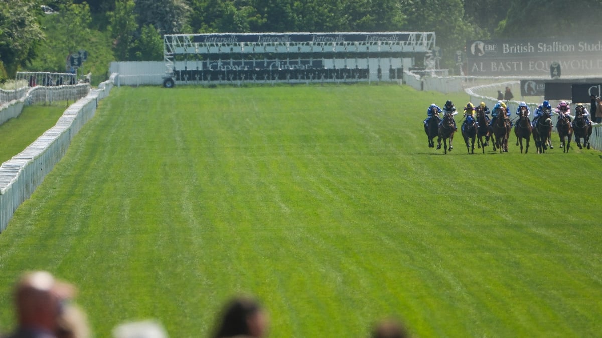 2026 Ebor Handicap Live Stream | Watch the York race online