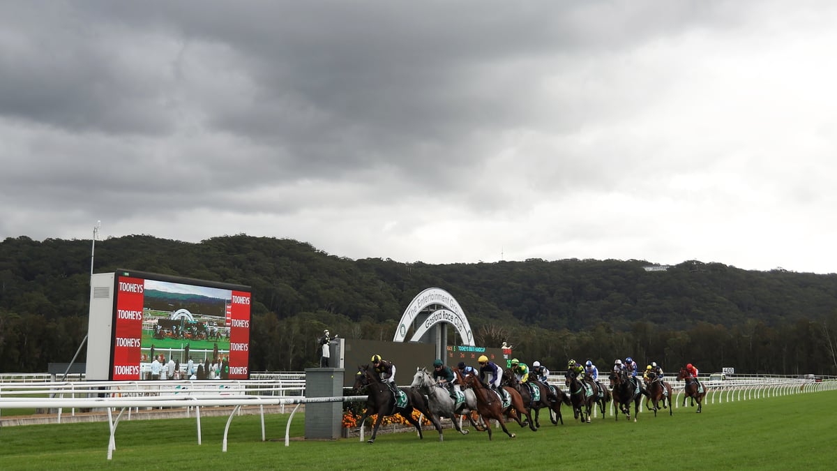 Gosford Betting Tips for August 6, 2026 - Gus Chasing Greatness