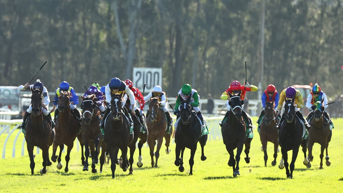 Gosford Betting Tips for May 28, 2026 - Fresh Kiwi to Relish the Conditions
