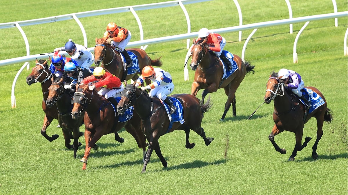 Goulburn Betting Tips for September 11, 2026 - Daylite Looks Bright