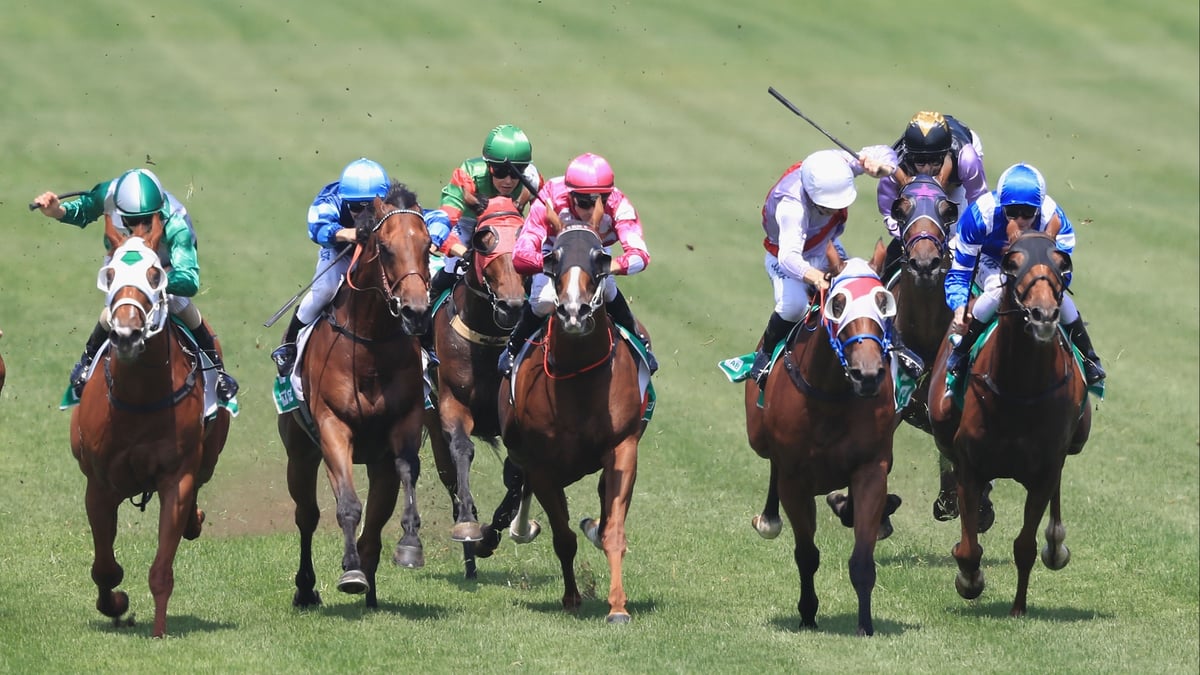 Goulburn Betting Tips for May 29, 2026 - Hat-Trick Awaits Ollington Lane