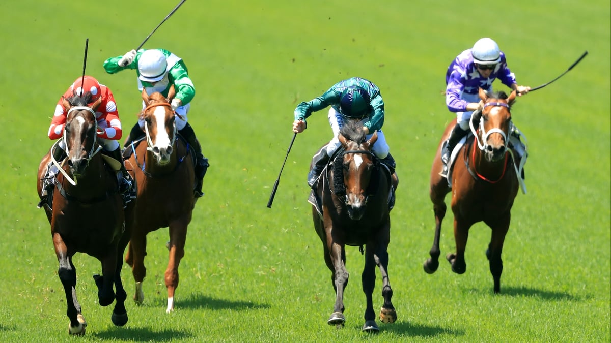 Grafton Betting Tips for August 18, 2026 - A Winning Move for Harlow