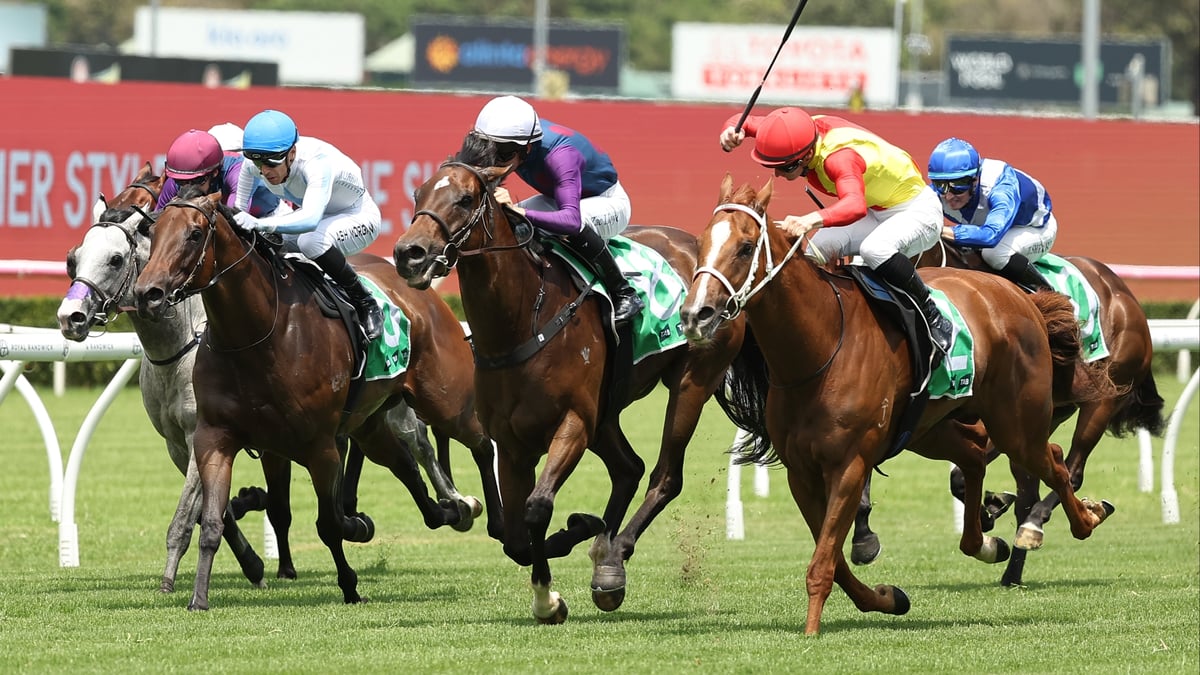 Grafton Betting Tips for July 15, 2026 - Best Bets for Ramornie Handicap Day