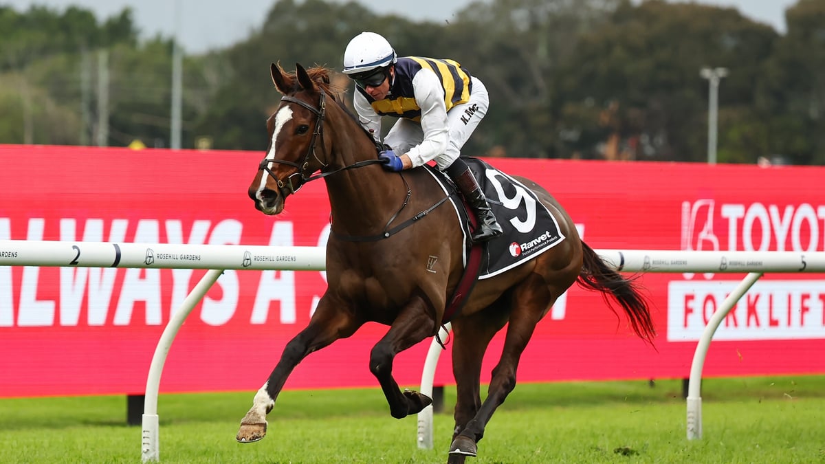 Grafton Betting Tips for July 16, 2026 - Best Bets for Grafton Cup Day