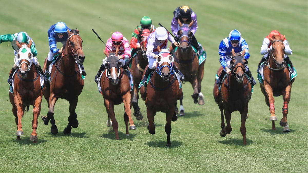 Ipswich Betting Tips for August 7, 2026 - Old Faithful Worth Trusting