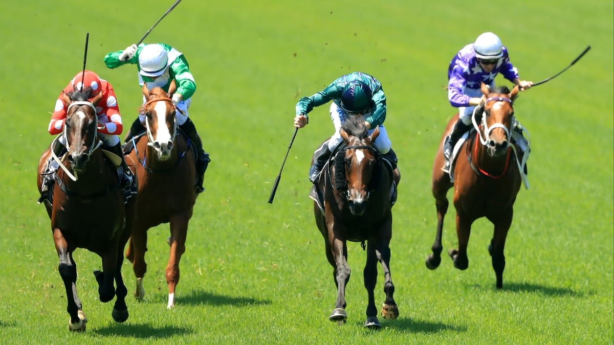 Ipswich Betting Tips for September 9, 2026 - Barrelling Back in Business