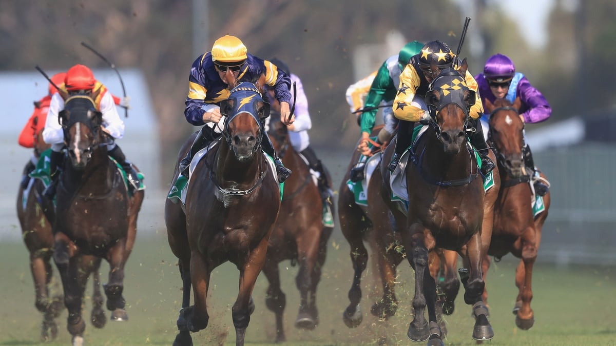 Ipswich Betting Tips for August 14, 2026 - Luconi Looks the One