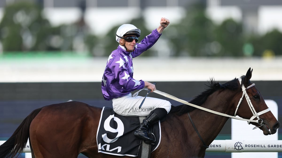 Melbourne Cup 2026 Betting Tips - Is Aeliana Searching for 3200m?