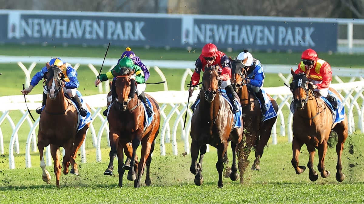 Missile Stakes 2026 Betting Tips - Angel in the Firing Line