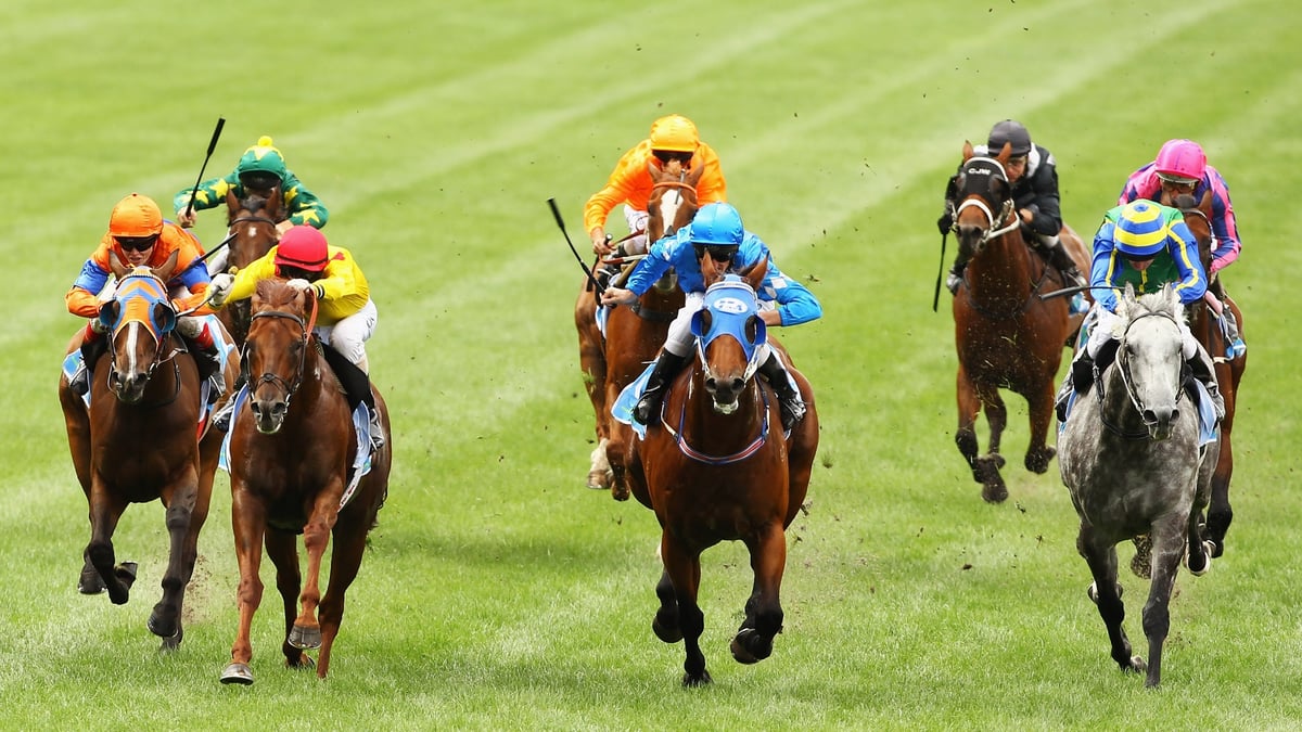 Moe Betting Tips for August 13, 2026 - Lost The Plot Finds the Script