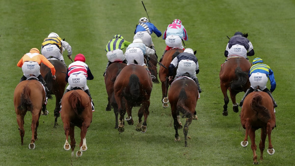 Moe Betting Tips for May 28, 2026 - Scalable Is Capable