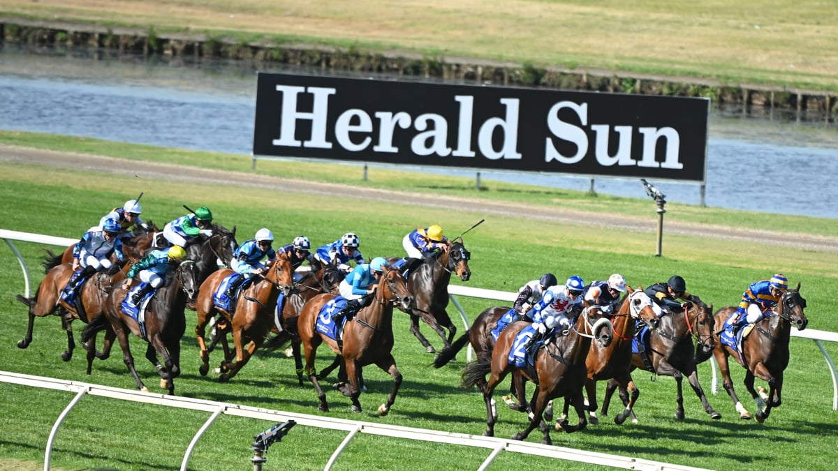 Moir Stakes 2026 Betting Tips - A Fling Worth Taking
