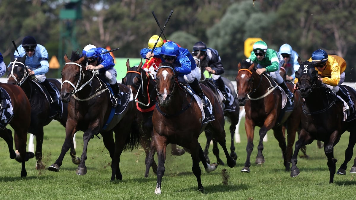 Moree Betting Tips for September 6, 2026 - Referees Gets the Decision