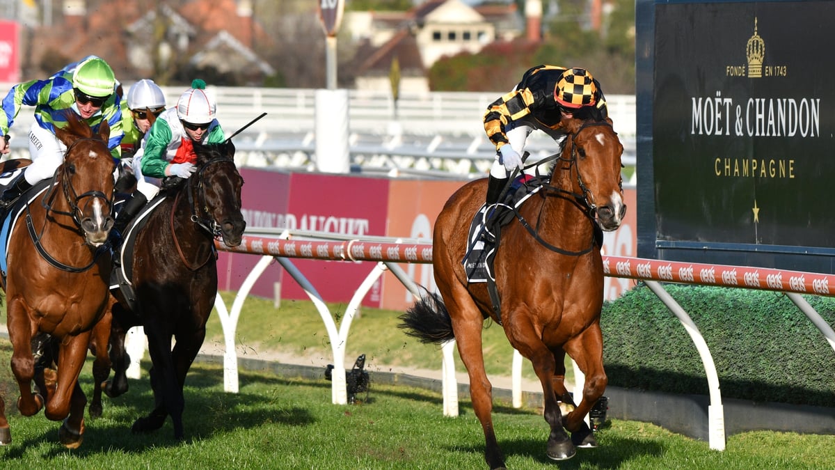 Morphettville Betting Tips for August 8, 2026 - Rogue Warrior Ready to Strike