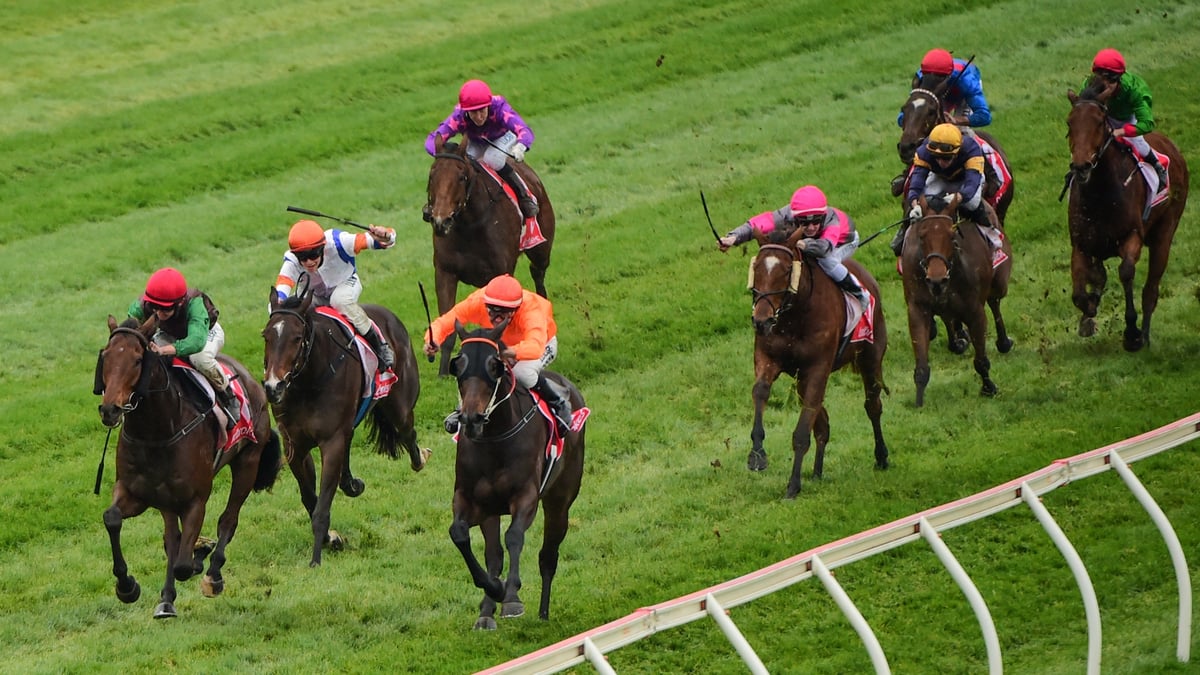 Morphettville Betting Tips for September 12, 2026 - Harmonic Dancer Hits the Right Note