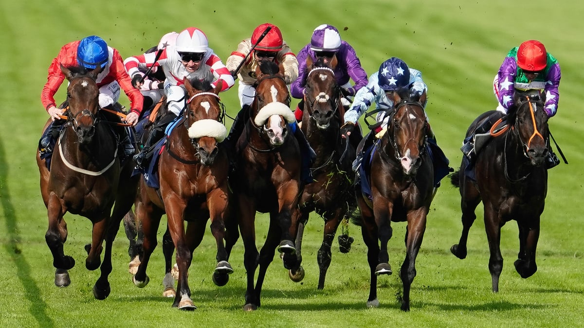 Morphettville Betting Tips for May 30, 2026 - Grinzinger Halo Can Atone