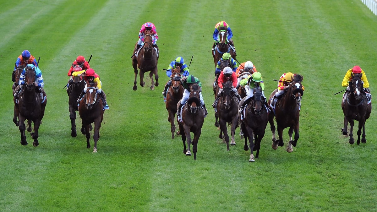 Murray Bridge Betting Tips for September 9, 2026 - Chilly Bro Warms to the Task